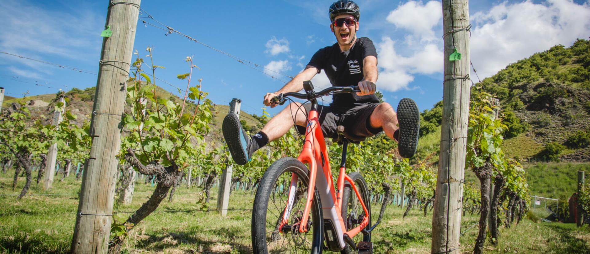 electric bike wine tour queenstown